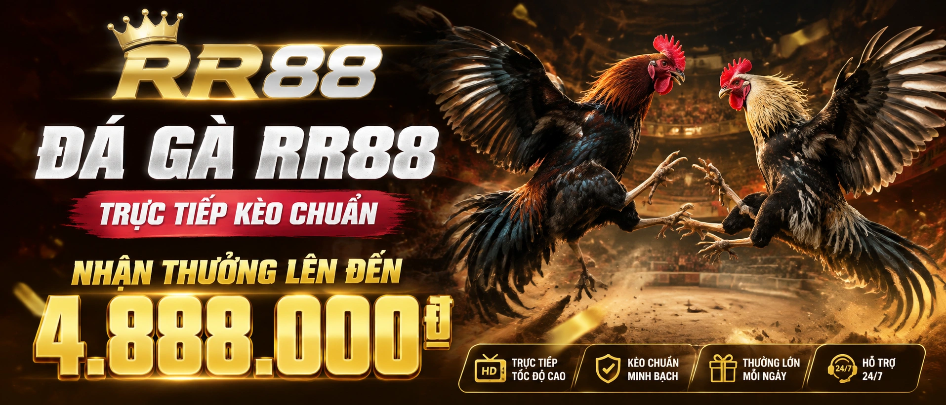 Khối nội dung Đá Gà rr88 trên giao diện web